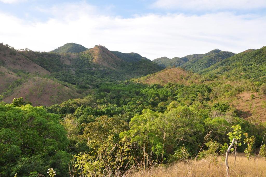 Busuanga Island Paradise מראה חיצוני תמונה